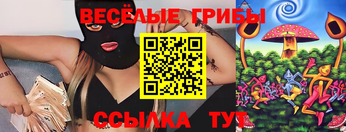 Галлюциногенные грибы Cubensis  Галлюциногенные грибы GOLDEN TEACHER  Вход с VPN  Донской 